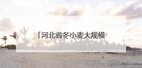 河北省冬小麦大规模机收工作全面启动